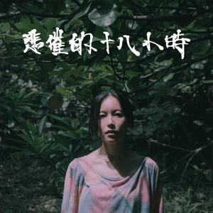 日韩精品极品视频在线观看免费
