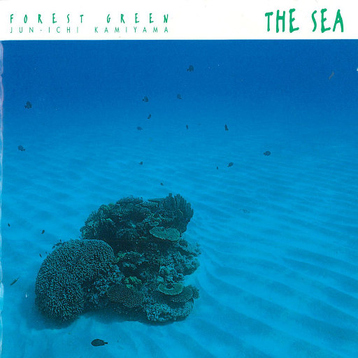 日韩精品极品视频在线观看免费
